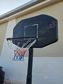 pallacanestro