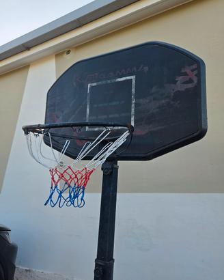 pallacanestro