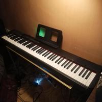 Pianoforte sp 100 tasti pesati