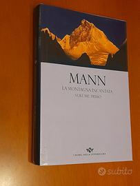 Primo volume del romanzo "La montagna incantata"