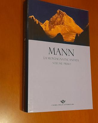 Primo volume del romanzo "La montagna incantata"
