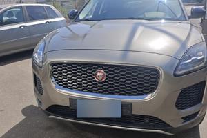 Jaguar e pace