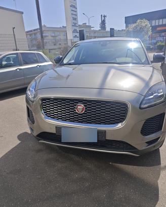 Jaguar e pace