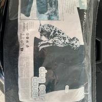 Dog car cover