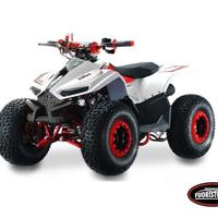 Lem Motor Quad, Grizzly 110cc