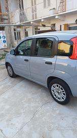 Fiat Panda 1.2 easy 2020