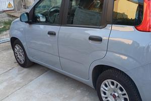 Fiat Panda 1.2 easy 2020