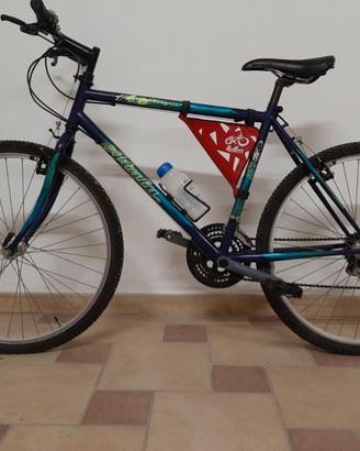 Bicicletta
