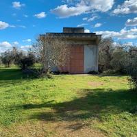 Terreno Agricolo con Casolare e Pozzo Artesiano