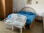 Immagine 6