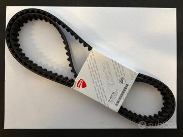 Cinghie Distribuzione Ducati 73740211A