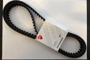 Cinghie Distribuzione Ducati 73740211A