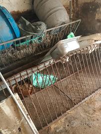 mangiatoia per  pecore 