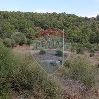 Terreno - Caltagirone