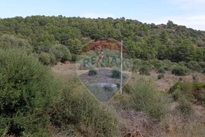 Terreno - Caltagirone