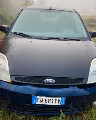 Fotd Fiesta