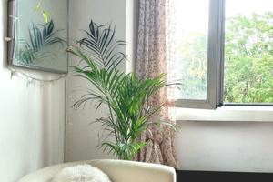 Monolocale 30 mq Via Imbonati, 52 Milano