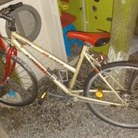 bici donna