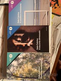 Libri narrativa