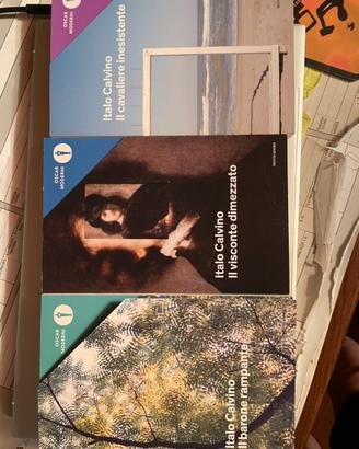 Libri narrativa