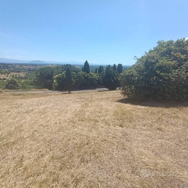 Terreno di 6820 m² a Sutri - Vista 4