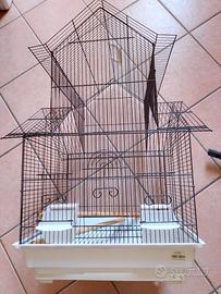 Gabbia uccellini 