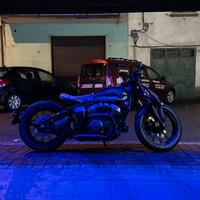 Benda Napoleon Bob 250 | Distinguiti dalla massa