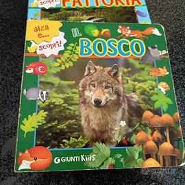 libro per bambini