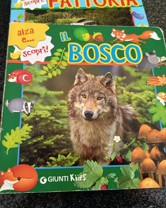 libro per bambini