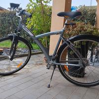 Mountain bike da uomo