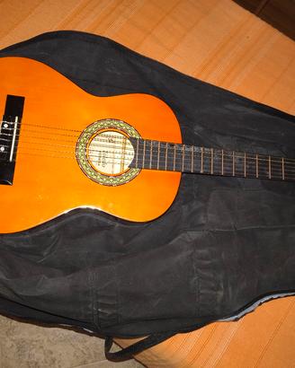 chitarra Toledo student E779E