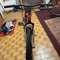 Bicicletta per ragazzi