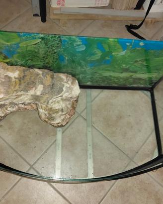 Tartarughiera con penisola 