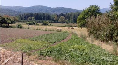 Terreno agricolo