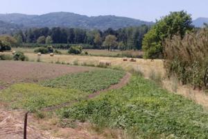 Terreno agricolo