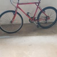 MTB anni '90 marca Torpado modello Canyon