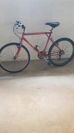 MTB anni '90 marca Torpado modello Canyon