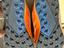 Immagine 4