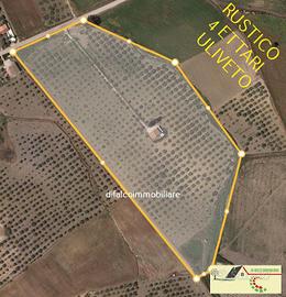 Villa mq 200 terreno con uliveto 4 ettari