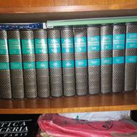 Enciclopedia Universale Rizzoli Larousse 15 volumi