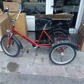 bici a 3 ruote