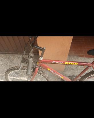 Mountain bike uomo
