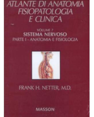 Due Atlanti Netter 50%