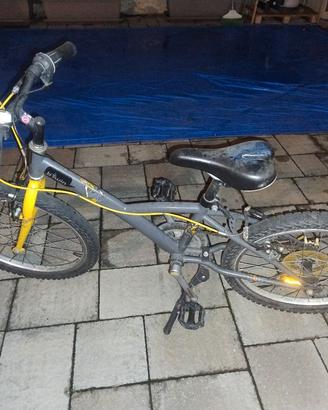 bicicletta bimbo bimba 20 pollici