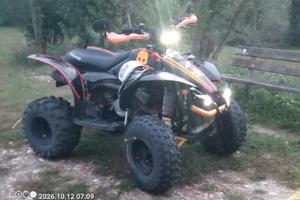 Quad Polaris 500 revisionato