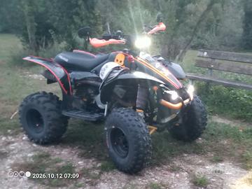 Quad Polaris 500 revisionato