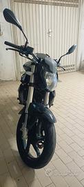  Benelli BN 125
