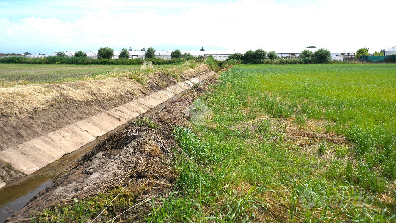 TER. AGRICOLO A EBOLI - Altro