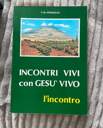 Libro “incontri vivi con Gesù vivo. L’incontro”