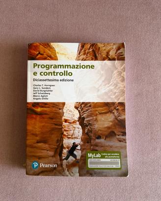 Programmazione e controllo Pearson 2020 17th ed.